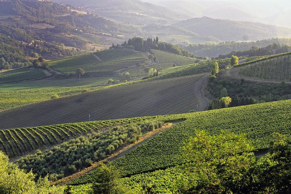 Fattoria Poggerino Bed & Breakfast Radda in Chianti Bilik gambar