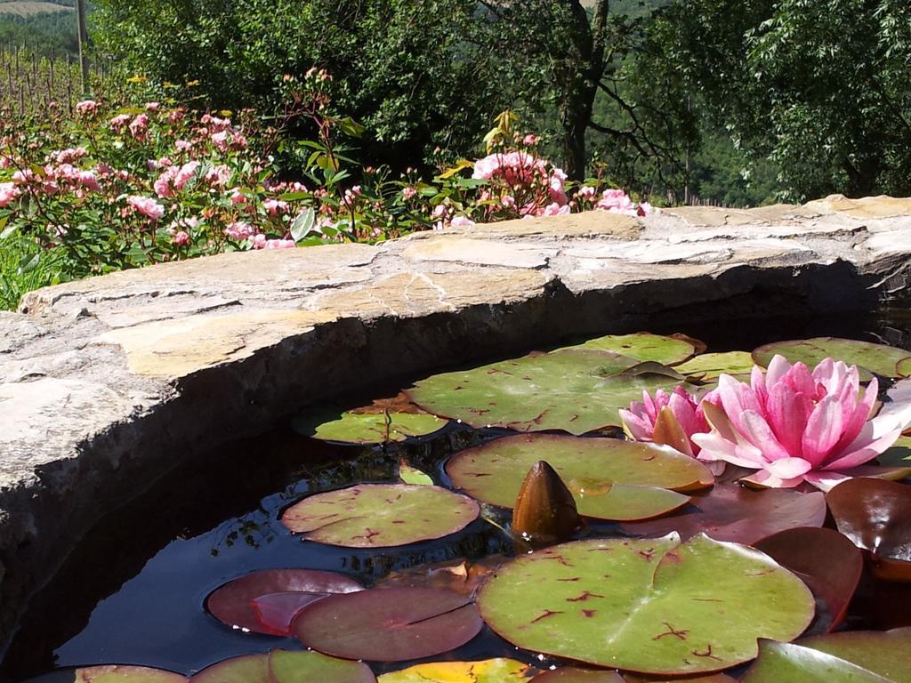 Fattoria Poggerino Bed & Breakfast Radda in Chianti Bilik gambar