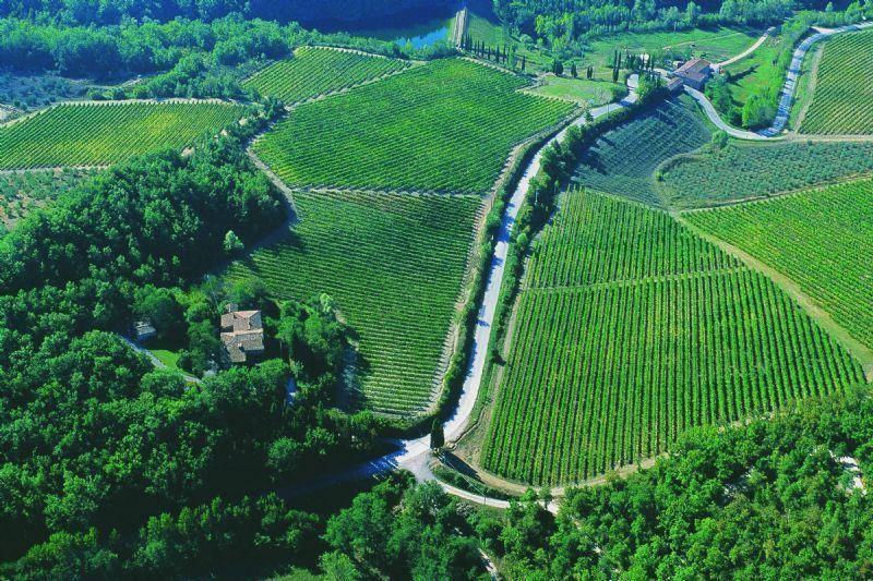 Fattoria Poggerino Bed & Breakfast Radda in Chianti Bilik gambar
