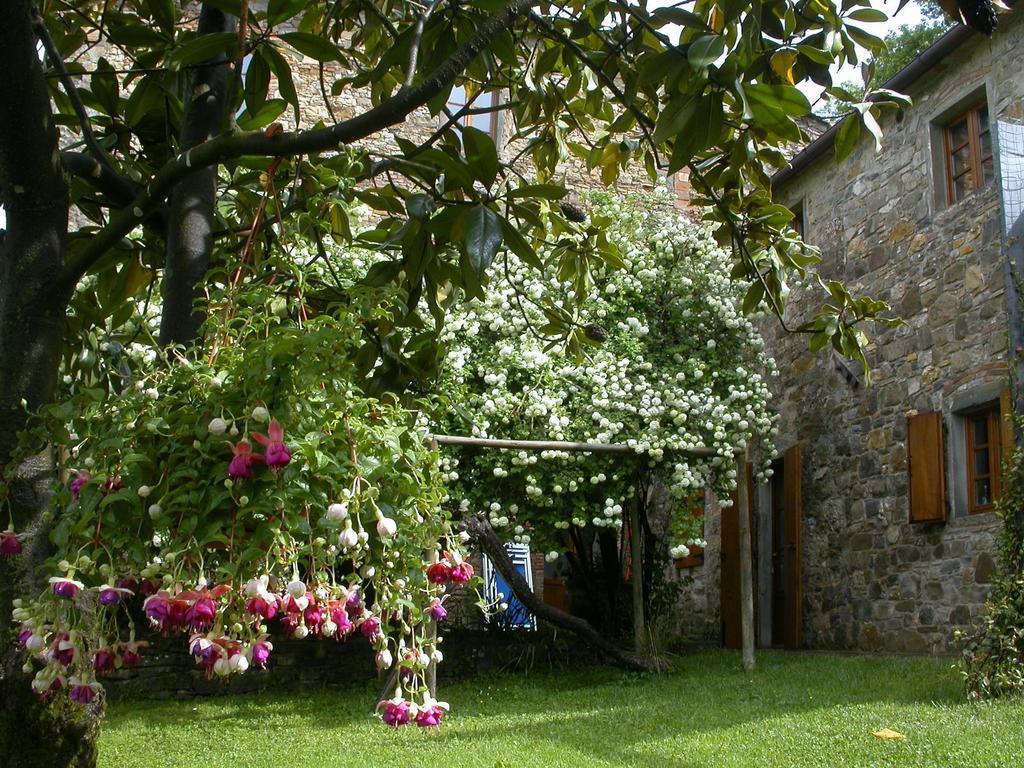 Fattoria Poggerino Bed & Breakfast Radda in Chianti Bilik gambar