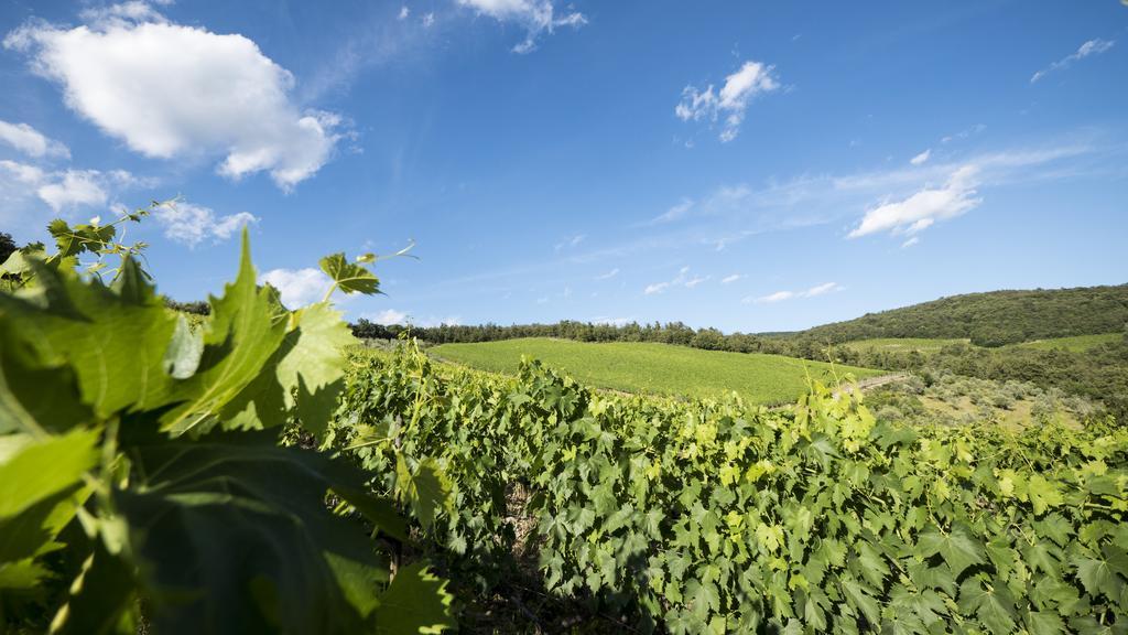 Fattoria Poggerino Bed & Breakfast Radda in Chianti Luaran gambar
