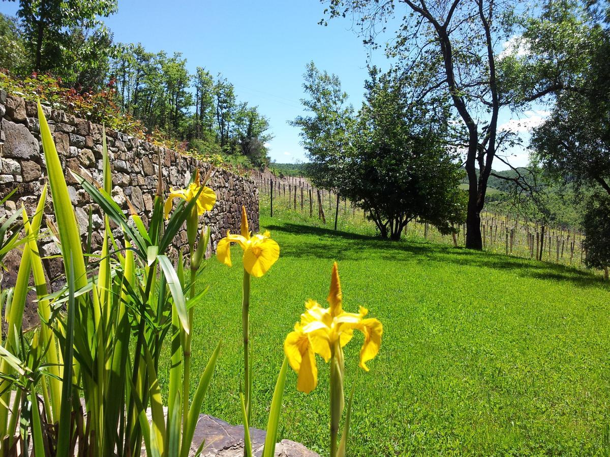 Fattoria Poggerino Bed & Breakfast Radda in Chianti Luaran gambar